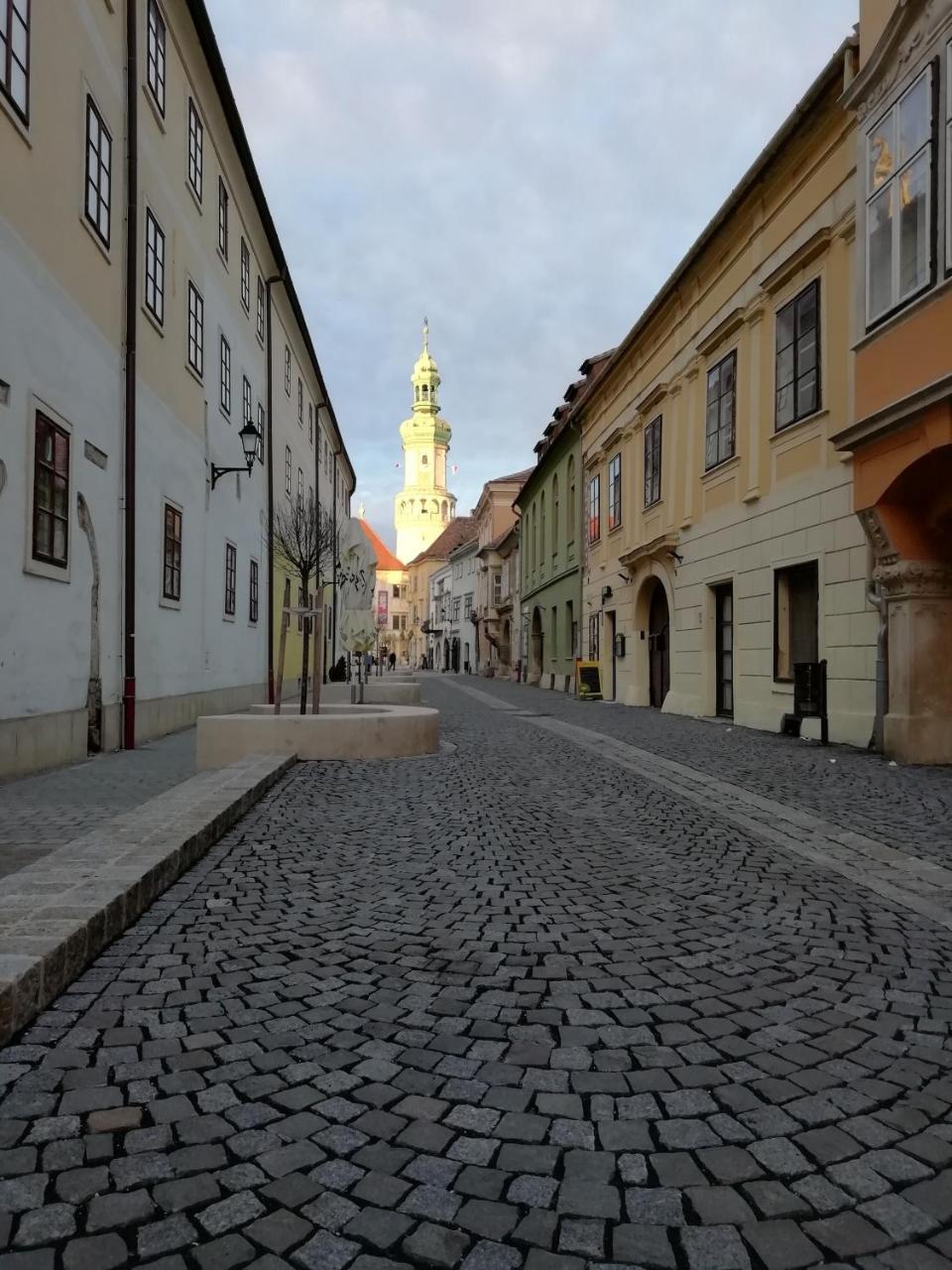 Fueredi Haz Apartman Apartment Sopron Exterior foto